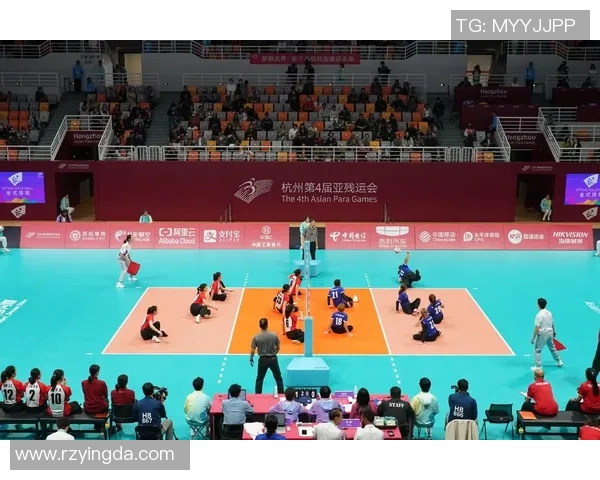 杭州排球队逆袭之路欧锦赛特别报道见证辉煌时刻与团队精神